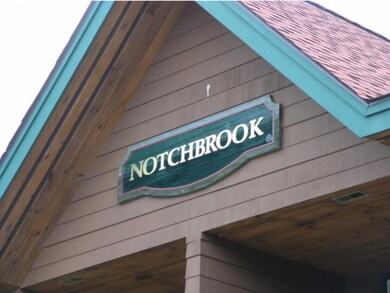 159 Deer Park Dr unit 159A, Woodstock, NH 03262 - photo 6