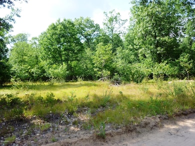 2750 W 14 Mile Rd unit Parcel C, Lilley Township, MI 49309 - photo 2