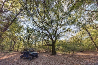 12245 County Rd 3514, Brownsboro, TX 75756 - photo 3