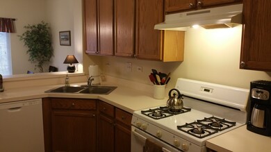 263 Windsor Ct unit B, South Elgin, IL 60177 - photo 3