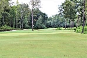 30082 Walton Heath Dr, Cleveland, TX 77327 - photo 4