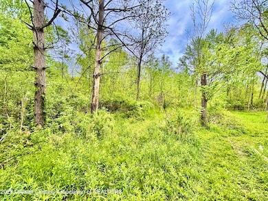 0 Lot B Willow, Lansing, MI 48917 - photo 6