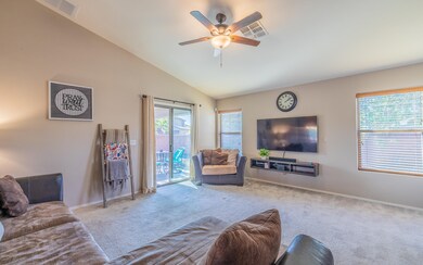 Calle Franja Verde-18