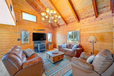 597 Sheep Ridge Rd, Fairplay, CO 80440 - photo 4