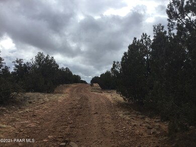 5986 N Forest Line Rd, Ash Fork, AZ 86320 - photo 4