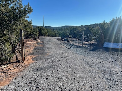 46 N8621, Concho, AZ 85924 - photo 3