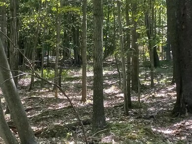 32-34-7 Lake Shore Aka Arrowhead Dr, Pocono Lake, PA 18347 - photo 5