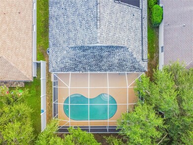 New Roof 2019