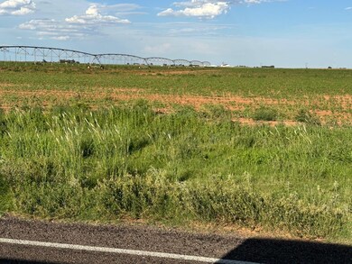 0 Fm 168 unit 202309148, Ropesville, TX 79358 - photo 4