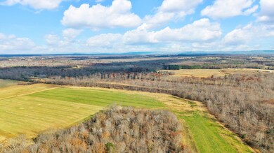 0 Whitaker Ln unit RTC3058632, Belvidere, TN 37306 - photo 4