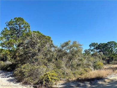 404 Sunshine Ave, Lake Placid, FL 33852 - photo 3