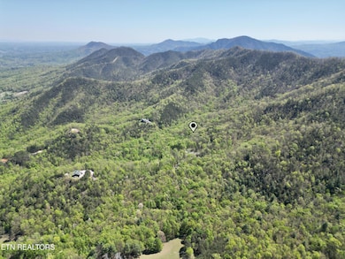 981 Critter Valley Way, Newport, TN 37821 - photo 6