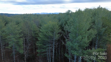 597 Peninsula Reserve Rd unit 34, Nebo, NC 28761 - photo 7