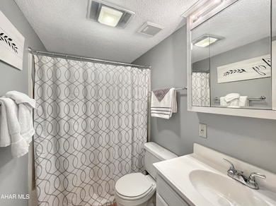 185 E Valley Point Ln unit B101, Claysburg, PA 16625 - photo 5