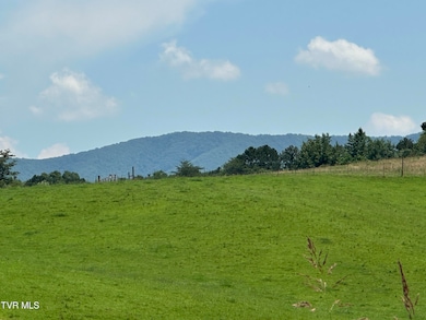 00 W Allens Bridge Rd, Greeneville, TN 37743 - photo 2