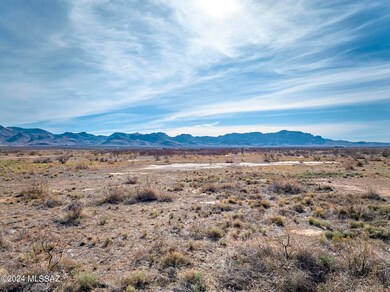 40.74 Acre N Dill Rd unit 302, San Simon, AZ 85632 - photo 7