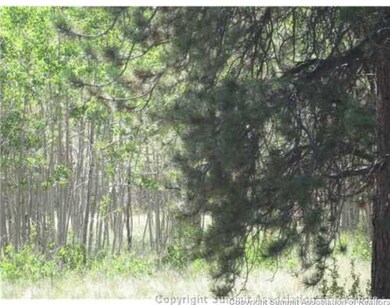 825 Osprey Rd, Como, CO 80432 - photo 6