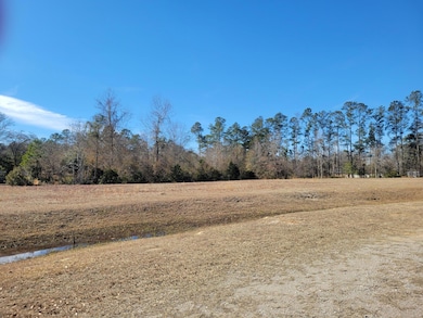 00 Academy Rd, Walterboro, SC 29488 - photo 6