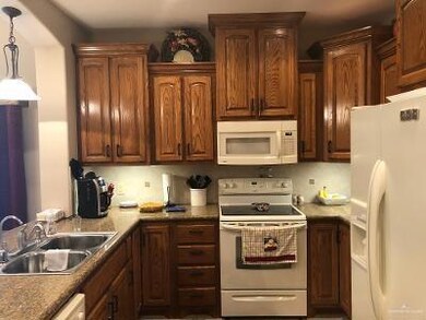 245 Karen Dr, Alamo, TX 78516 - photo 5