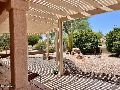 Large Back Yard