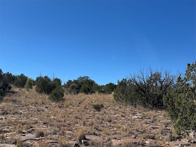 158.81 Off B27a, Serafina, NM 87569 - photo 4