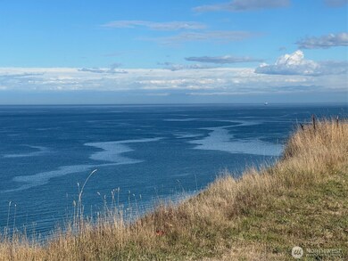 1323 S McDonald St, Port Angeles, WA 98363 - photo 4