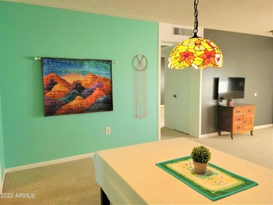 11156 W Emerald Dr, Sun City, AZ 85351 - photo 7