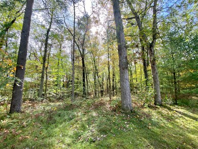 3858 W Wildwood Ave, Bitely, MI 49309 - photo 2