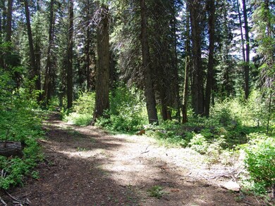 Driveway Into Property