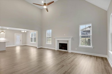 6918 Cooley Rd, Ooltewah, TN 37363 - photo 5