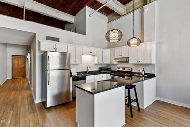Bullington Warehouse Loft Condos unit 55-105, Durham, NC 27701 - photo 5