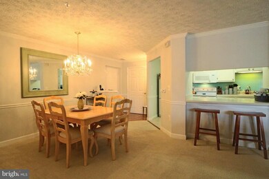 621 Admiral Dr unit 208, Annapolis, MD 21401 - photo 6