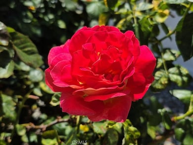 1295 S Cawston Avenue 250, Hemet, CA 92545 - photo 6