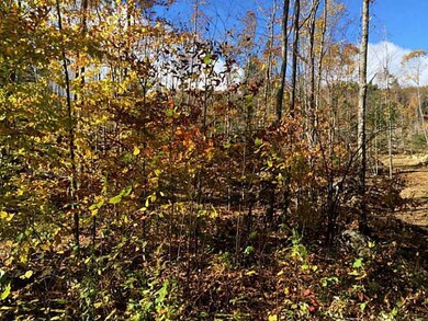 17 Bickford Pond Rd, Porter, ME 04068 - photo 4