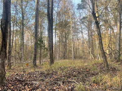 . County Road 69, Valley Grande, AL 36701 - photo 5