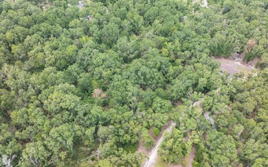 TBD 208th St, O Brien, FL 32071 - photo 4