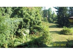 100 Utah St, Johnson City, TN 37601 - photo 2