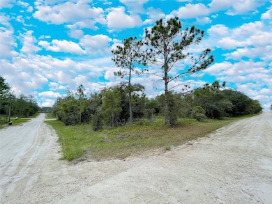 TBD NE 127th Ct, Bronson, FL 32621 - photo 2