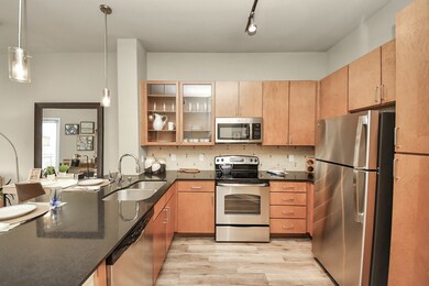 5455 Richmond Ave unit 2051, Houston, TX 77056 - photo 3