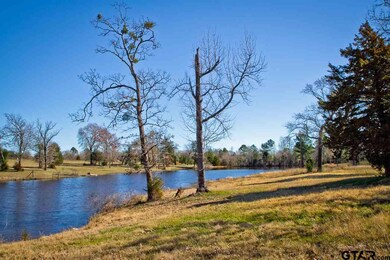 17981 Fm 850, Arp, TX 75750 - photo 5