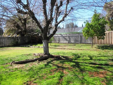 back yard