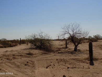 1.25 E Tbd-Cactus Forest & N Reed Rd unit 3, Florence, AZ 85132 - photo 5