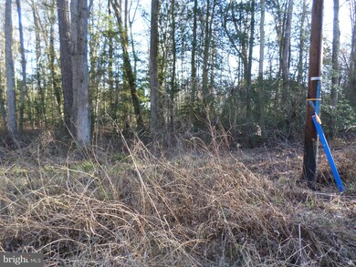 0 Azure Dr unit VAWE115826, Colonial Beach, VA 22443 - photo 2