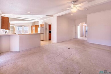 13 N Mesa Loop, Raton, NM 87740 - photo 7