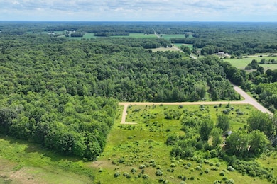 VL 104th Ave, Allegan, MI 49010 - photo 4