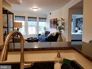 Dominion Heights unit 317, Arlington, VA 22207 - photo 5