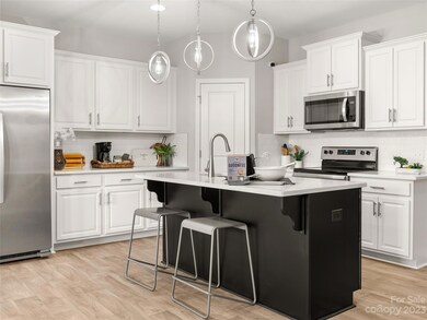 15211 Scoter St unit 25, Charlotte, NC 28262 - photo 3