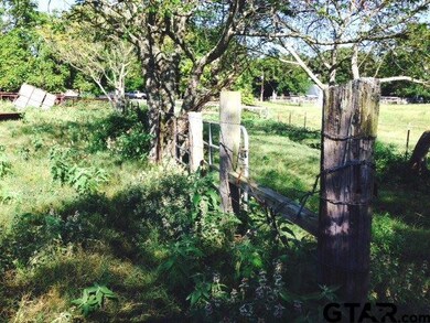 00000 County Road 2298, Tyler, TX 75707 - photo 6