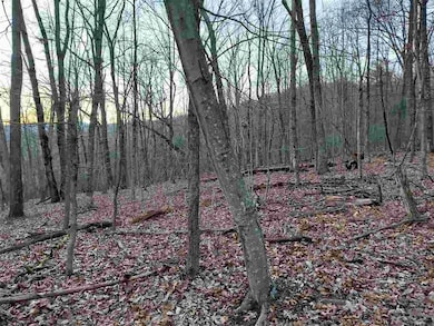 unlisted-address, Stanardsville, VA 22973 - photo 3