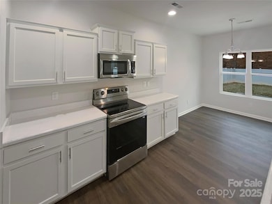 1128 Doby Springs Dr, Charlotte, NC 28262 - photo 2